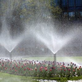 sistemas de riego para jardines automaticos