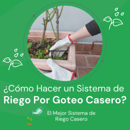 imagen destacada riego por goteo casero